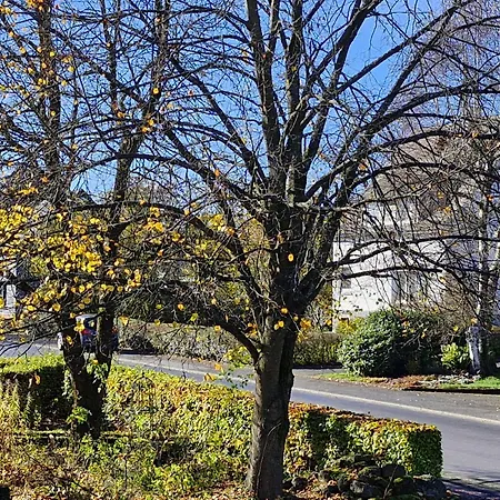 Michas Westerwald * Rennerod