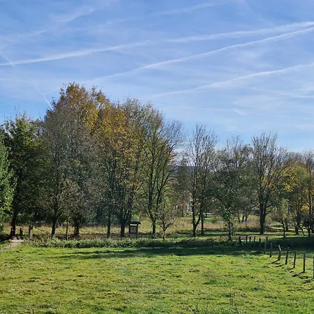 Michas Westerwald Daire Rennerod