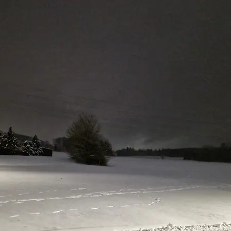 Michas Westerwald Daire *