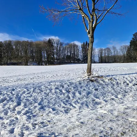 Michas Westerwald Rennerod