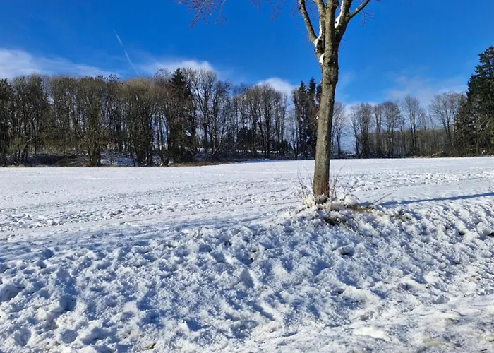 Michas Westerwald Rennerod